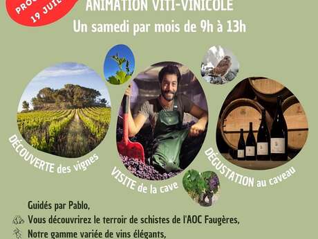 VISITE DU DOMAINE PRÉS LASSES