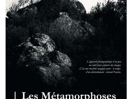 EXPOSITION "LES MÉTAMORPHOSES" DE SYLVÈRE PETIT