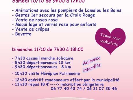 OCTOBRE ROSE : REPAS
