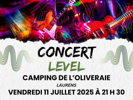 SOIREE CONCERT AVEC LE GROUPE LEVEL