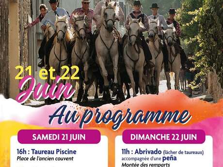 NEFFIES EN CAMARGUE