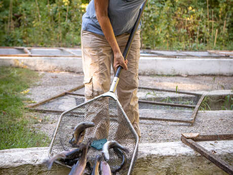 LES MERCREDIS AU PAYS - PISCICULTURE L'ECHO DES SOURCES -  16 JUILLET 2025 - 17H00