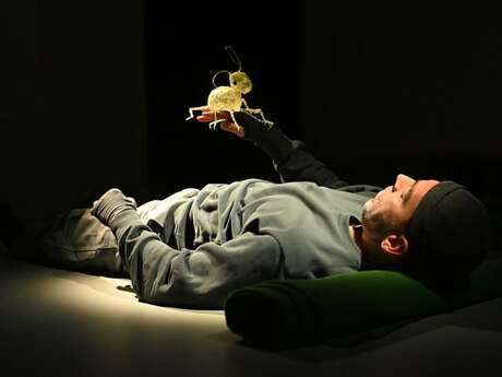 MINIMUS OU LE COLLEMBOLE, UN VIVANT SOUS NOS PAS