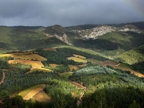 RANDONNÉE FÉLINES MINERVOIS VENTAJOU