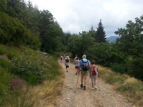RANDONNÉE ACCOMPAGNÉE