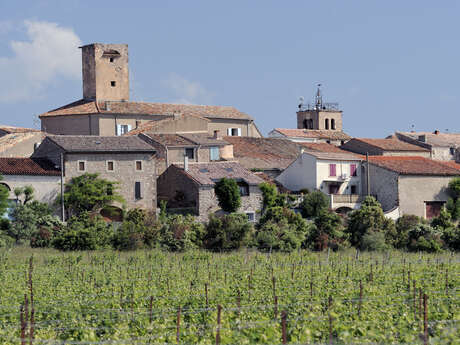 RANDONNÉE LE CHEMIN DES 1001 PIERRES