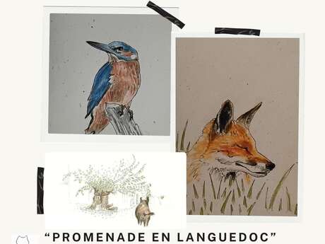 EXPOSITION "PROMENADE EN LANGUEDOC"