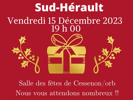 CONCERT DE L'ÉCOLE DE MUSIQUE SUD-HÉRAULT