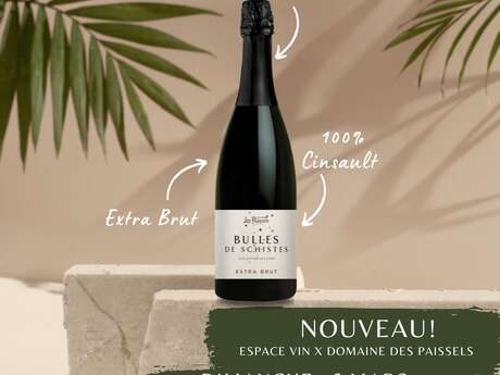 DÉGUSTATION DE VINS
