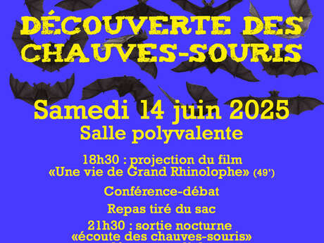 DÉCOUVERTE DES CHAUVES-SOURIS