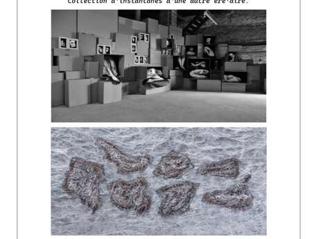 EXPOSITION À LA MAISON ROMANE