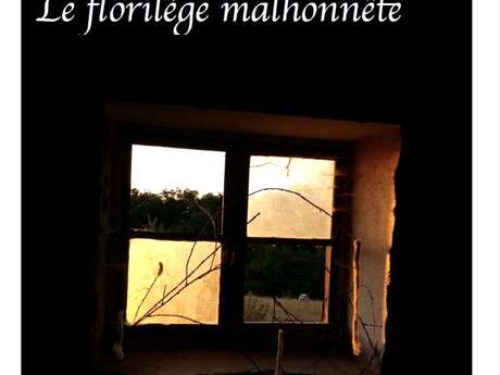 POESIE