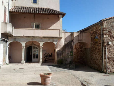 ABBES DE JONCELS - L'ERABLE