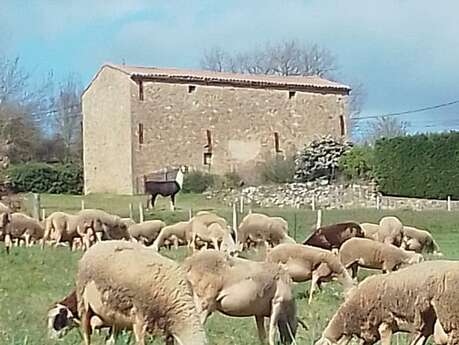 LES MERCREDIS AU PAYS : GAEC DU LICIDOU  - 14 JUIN 2023