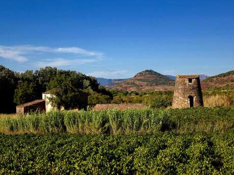 DU LARZAC A LA MEDITERRANEE A VTT SUR LA GTMC: LUNAS - CLERMONT L'HERAULT