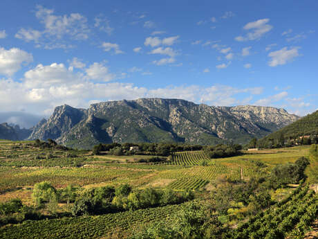 CIRCUIT LE VERDIER - SITE VTT CAROUX EN HAUT LANGUEDOC