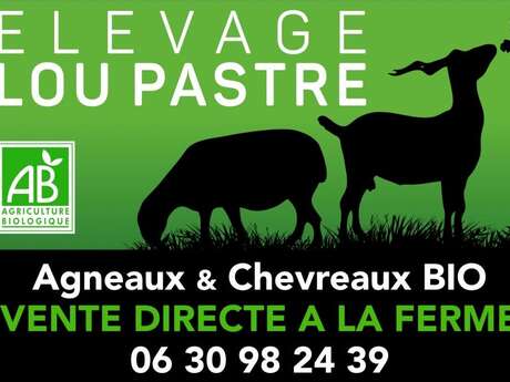 LOU PASTRE