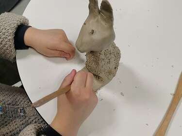 Atelier - Pas banal l'animal Atelier - Pas banal l'animal
