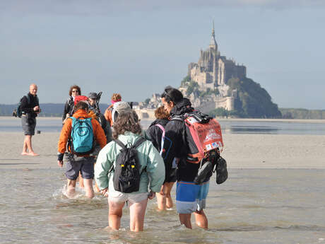 A gambettes en Baie avec un Guide Nature A gambettes en Baie avec un Guide Nature