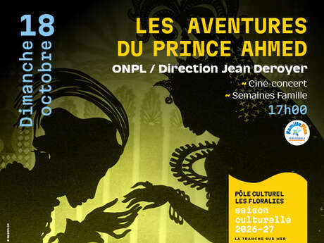 Ciné-concert ~ dans le cadre des semaines famille