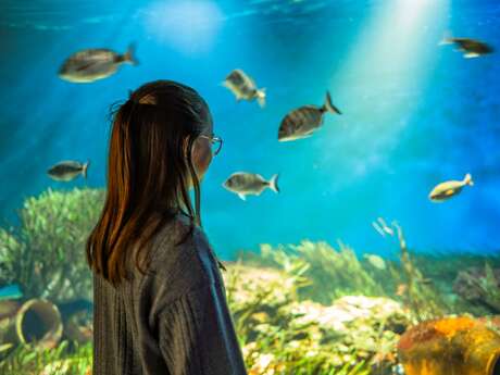 Aquarium de Vendée