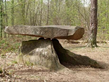 Dolmen dit du "Bois Agretié"