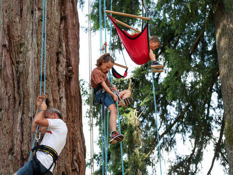 Atelier initiation à la "grimpe d'arbre"