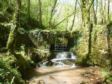 Le sentier des sources