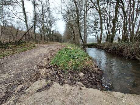 Randonnée Capelloune, sur les traces de Néandertal