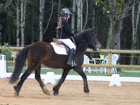 Challenge départemental  de dressage