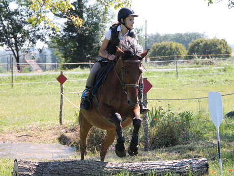 Derby Cross - Derby Eventing