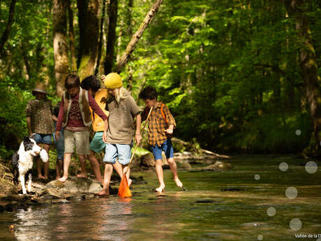 Balade-découverte : continuités écologiques et moules perlières sur le ruisseau de la Ressègue