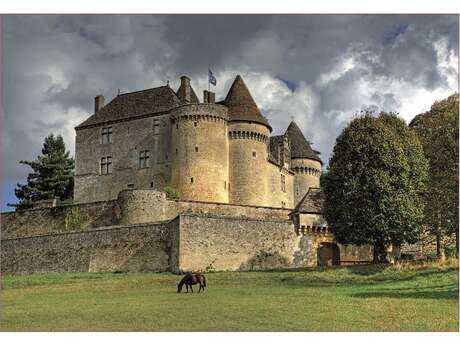 Château de Fénelon