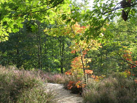 Circuit des landes du Frau