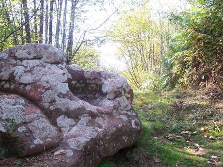 La Chaise du diable - VTT