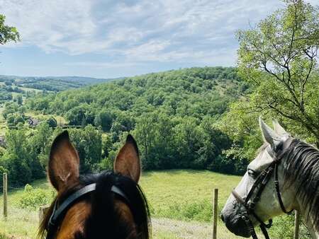 EQUI AVENTURES EQUI AVENTURES