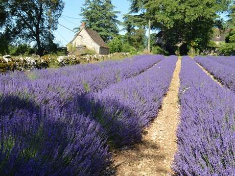 Ferme des Alix