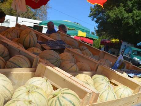 Traditionnelle Foire Champêtre aux Ânes et aux Melons du Dégagnazès Traditionnelle Foire Champêtre aux Ânes et aux Melons du Dégagnazès