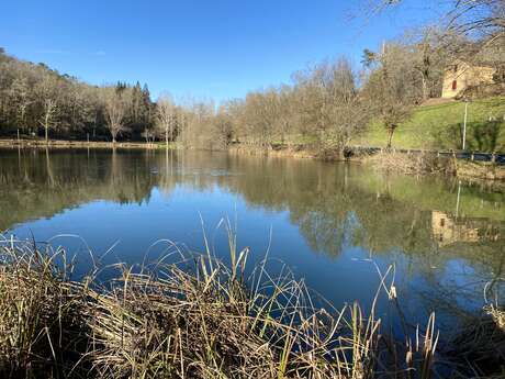 TRAIL n°12 - Au fil de la Thèze