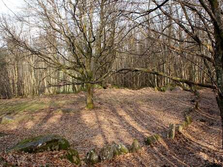 Cromlech