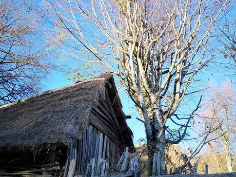 Ferme du Moyen Age