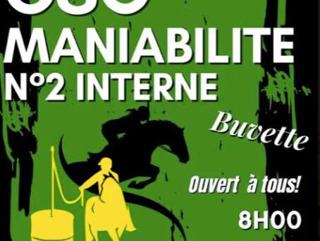 Concours Interne CSO Maniabilité