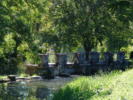 Plan d'eau de Pêche de St Germain du Bel Air