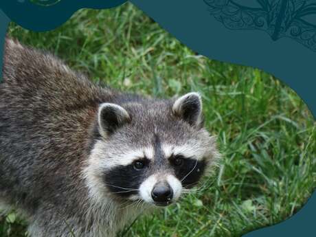 Le Carnaval des Animaux Masqués au Parc Animalier de Gramat