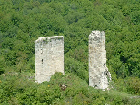 Tours de Carbonnières