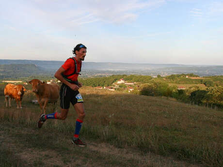 12ème trail Vallées Cère et Dordogne