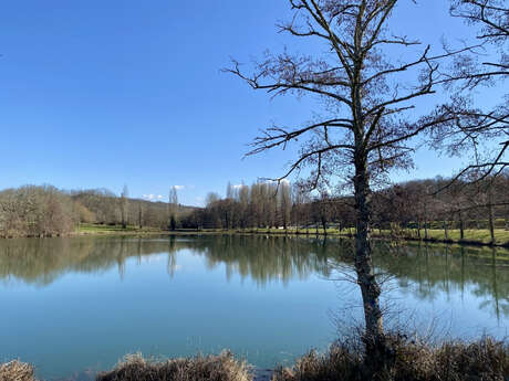 Dans nos combes