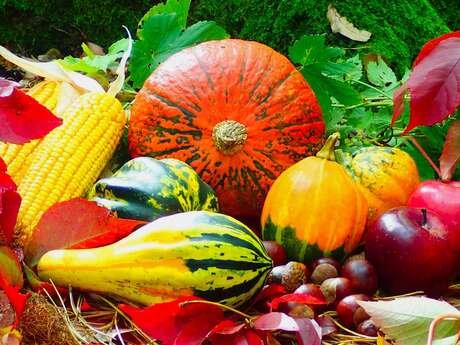 Fête de l'Automne Fête de l'Automne