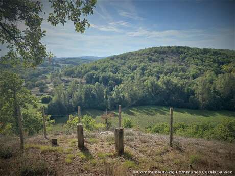Causse Toujours