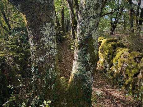 TRAIL n°2 - Bo' Causse